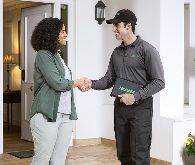 Environment, Health & Safety